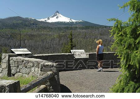 Stock Image -  Mt. Washington, OR, Oregon, Deschutes National Forest, Cascade Range, Cascade Volcanic Belt, overlook. Fotosearch
