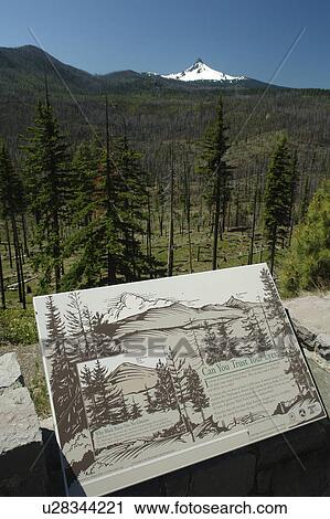 Stock Image -  Mt. Washington, OR, Oregon, Deschutes National Forest, Cascade Range, Cascade Volcanic Belt, overlook. Fotosearch