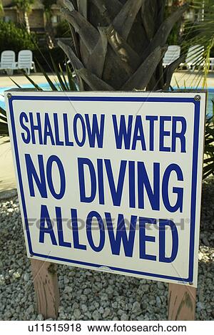 Myrtle Beach, SC, South Carolina, Plantation Resort, Shallow Water, No Diving Allowed, swimming pool View Large Photo Image Stock Photo - Myrtle Beach, SC, South Carolina, Plantation Resort, Shallow Water, No Diving Allowed, swimming pool. Fotosearch