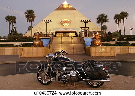 Myrtle Beach, SC, South Carolina, The Grand Strand, Hard Rock CafT, evening View Large Photo Image Picture - Myrtle Beach, SC, South Carolina, The Grand Strand, Hard Rock CafT, evening. Fotosearch