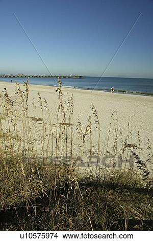 Myrtle Beach, SC, South Carolina, The Grand Strand, beach View Large Photo Image Picture - Myrtle Beach, SC, South Carolina, The Grand Strand, beach. Fotosearch