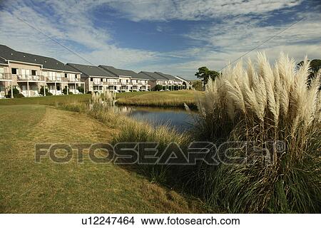 Myrtle Beach, SC, South Carolina, The Grand Strand, Plantation Resort View Large Photo Image Picture - Myrtle Beach, SC, South Carolina, The Grand Strand, Plantation Resort. Fotosearch