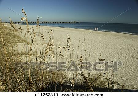 Stock Image -  Myrtle Beach, SC, South Carolina, The Grand Strand, beach. Fotosearch