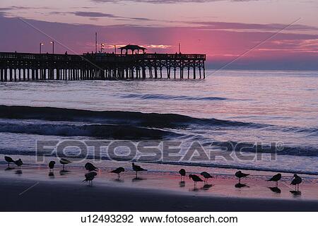 Stock Image -  Myrtle Beach, SC, South Carolina, The Grand Strand, fishing pier, beach, sunrise. Fotosearch