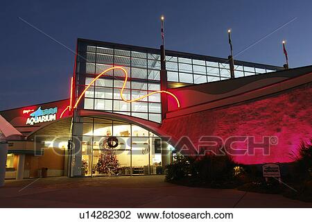 Myrtle Beach, SC, South Carolina, The Grand Strand, Broadway at the Beach, Ripley's Aquarium, evening View Large Photo Image Stock Image - Myrtle Beach, SC, South Carolina, The Grand Strand, Broadway at the Beach, Ripley's Aquarium, evening. Fotosearch