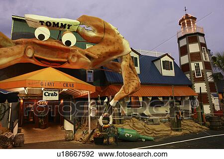 Myrtle Beach, SC, South Carolina, The Grand Strand, Giant Crab Seafood Restaurant, evening View Large Photo Image Stock Image - Myrtle Beach, SC, South Carolina, The Grand Strand, Giant Crab Seafood Restaurant, evening. Fotosearch