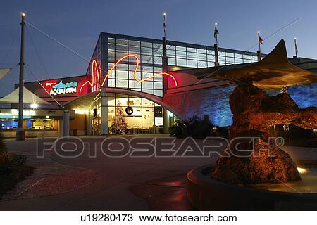 Myrtle Beach, SC, South Carolina, The Grand Strand, Broadway at the Beach, Ripley's Aquarium, evening View Large Photo Image Stock Image - Myrtle Beach, SC, South Carolina, The Grand Strand, Broadway at the Beach, Ripley's Aquarium, evening. Fotosearch