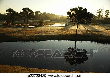 Myrtle Beach, SC, South Carolina, The Grand Strand, Plantation Resort, early morning light View Large Photo Image Stock Image - Myrtle Beach, SC, South Carolina, The Grand Strand, Plantation Resort, early morning light. Fotosearch