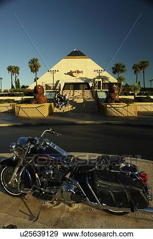 Myrtle Beach, SC, South Carolina, The Grand Strand, Hard Rock CafT View Large Photo Image Stock Photo - Myrtle Beach, SC, South Carolina, The Grand Strand, Hard Rock CafT. Fotosearch