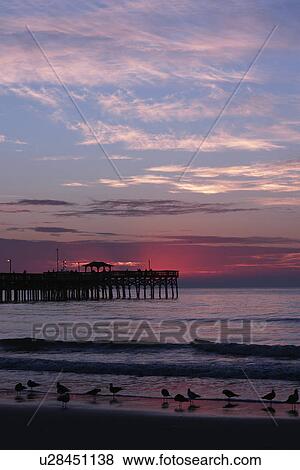 Myrtle Beach, SC, South Carolina, The Grand Strand, fishing pier, beach, sunrise View Large Photo Image Stock Photo -  Myrtle Beach, SC, South Carolina, The Grand Strand, fishing pier, beach, sunrise. Fotosearch