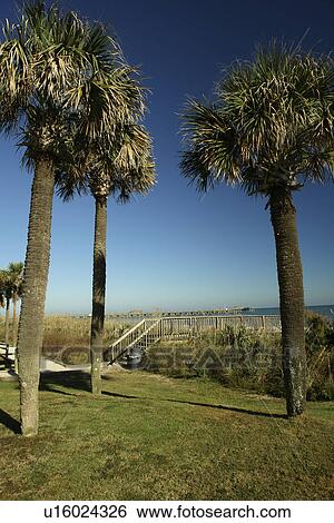 Stock Photograph -  Myrtle Beach, SC, South Carolina, The Grand Strand, resort, boardwalk. Fotosearch