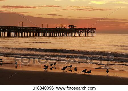 Stock Photograph -  Myrtle Beach, SC, South Carolina, The Grand Strand, fishing pier, beach, sunrise. Fotosearch