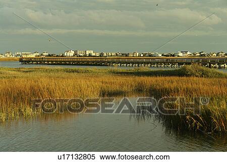 Myrtle Beach, SC, South Carolina, The Grand Strand, Murrells Inlet View Large Photo Image Stock Photography - Myrtle Beach, SC, South Carolina, The Grand Strand, Murrells Inlet. Fotosearch