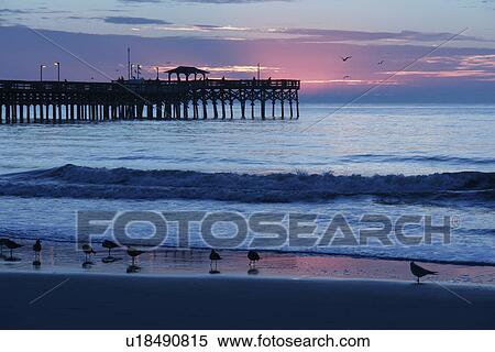 Stock Photography -  Myrtle Beach, SC, South Carolina, The Grand Strand, fishing pier, beach, sunrise. Fotosearch