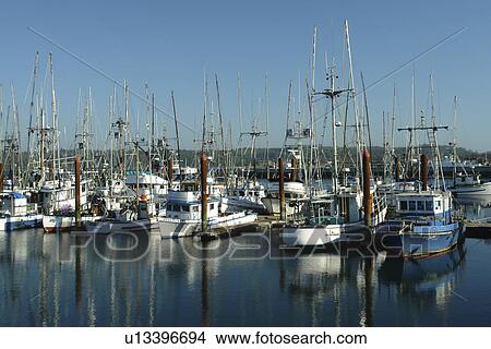 Picture -  Newport, OR, Oregon, Pacific Ocean, Pacific Coast Scenic Byway, Rt Route, Highway 101, Yaquina Bay, Harbor, Marina, fishing fleet. Fotosearch