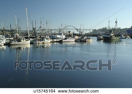 Picture -  Newport, OR, Oregon, Pacific Ocean, Pacific Coast Scenic Byway, Rt Route, Highway 101, Yaquina Bay, Harbor, Marina, fishing fleet. Fotosearch