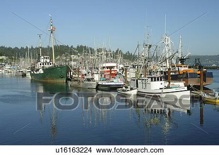 Picture -  Newport, OR, Oregon, Pacific Ocean, Pacific Coast Scenic Byway, Rt Route, Highway 101, Yaquina Bay, Harbor, Marina, fishing fleet. Fotosearch