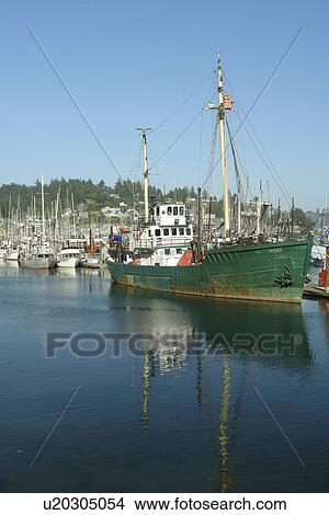 Newport, OR, Oregon, Pacific Ocean, Pacific Coast Scenic Byway, Rt Route, Highway 101, Yaquina Bay, Harbor, Marina, fishing fleet View Large Photo Image Picture - Newport, OR, Oregon, Pacific Ocean, Pacific Coast Scenic Byway, Rt Route, Highway 101, Yaquina Bay, Harbor, Marina, fishing fleet. Fotosearch