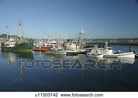 Newport, OR, Oregon, Pacific Ocean, Pacific Coast Scenic Byway, Rt Route, Highway 101, Yaquina Bay, Harbor, Marina, fishing fleet View Large Photo Image Stock Image - Newport, OR, Oregon, Pacific Ocean, Pacific Coast Scenic Byway, Rt Route, Highway 101, Yaquina Bay, Harbor, Marina, fishing fleet. Fotosearch
