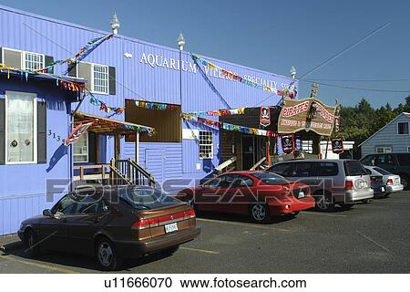 Stock Image -  Newport, OR, Oregon, Pacific Ocean, Pacific Coast Scenic Byway, Rt Route, Highway 101, Aquarium Village. Fotosearch