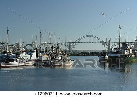 Newport, OR, Oregon, Pacific Ocean, Pacific Coast Scenic Byway, Rt Route, Highway 101, Yaquina Bay, Harbor, Marina, fishing fleet View Large Photo Image Stock Image - Newport, OR, Oregon, Pacific Ocean, Pacific Coast Scenic Byway, Rt Route, Highway 101, Yaquina Bay, Harbor, Marina, fishing fleet. Fotosearch