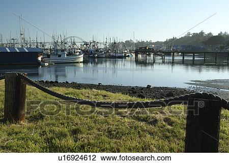 Stock Image -  Newport, OR, Oregon, Pacific Ocean, Pacific Coast Scenic Byway, Rt Route, Highway 101, Yaquina Bay, Harbor, Marina, fishing fleet. Fotosearch