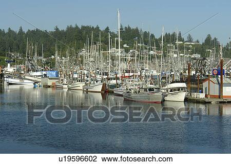 Stock Image -  Newport, OR, Oregon, Pacific Ocean, Pacific Coast Scenic Byway, Rt Route, Highway 101, Yaquina Bay, Harbor, Marina, fishing fleet. Fotosearch