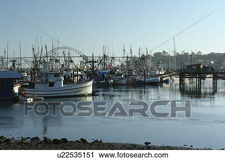 Stock Image -  Newport, OR, Oregon, Pacific Ocean, Pacific Coast Scenic Byway, Rt Route, Highway 101, Yaquina Bay, Harbor, Marina, fishing fleet. Fotosearch