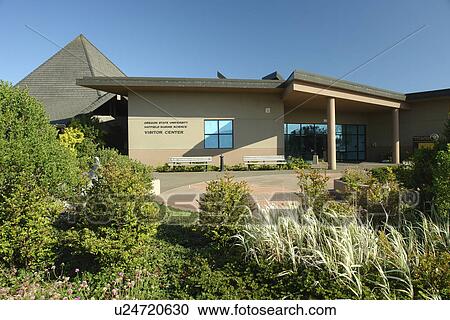 Newport, OR, Oregon, Pacific Ocean, Pacific Coast Scenic Byway, Rt Route, Highway 101, Oregon State University, Hatfield Museum Science Center View Large Photo Image Stock Image - Newport, OR, Oregon, Pacific Ocean, Pacific Coast Scenic Byway, Rt Route, Highway 101, Oregon State University, Hatfield Museum Science Center. Fotosearch