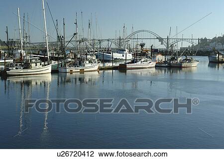 Stock Image -  Newport, OR, Oregon, Pacific Ocean, Pacific Coast Scenic Byway, Rt Route, Highway 101, Yaquina Bay, Harbor, Marina, fishing fleet. Fotosearch