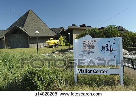 Stock Photo -  Newport, OR, Oregon, Pacific Ocean, Pacific Coast Scenic Byway, Rt Route, Highway 101, Oregon State University, Hatfield Museum Science Center. Fotosearch