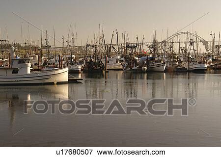 Newport, OR, Oregon, Pacific Ocean, Pacific Coast Scenic Byway, Rt Route, Highway 101, Yaquina Bay, Harbor, Marina, fishing fleet View Large Photo Image Stock Photo - Newport, OR, Oregon, Pacific Ocean, Pacific Coast Scenic Byway, Rt Route, Highway 101, Yaquina Bay, Harbor, Marina, fishing fleet. Fotosearch