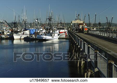 Stock Photo -  Newport, OR, Oregon, Pacific Ocean, Pacific Coast Scenic Byway, Rt Route, Highway 101, Yaquina Bay, Harbor, Marina, fishing fleet. Fotosearch