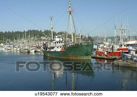 Newport, OR, Oregon, Pacific Ocean, Pacific Coast Scenic Byway, Rt Route, Highway 101, Yaquina Bay, Harbor, Marina, fishing fleet View Large Photo Image Stock Photo - Newport, OR, Oregon, Pacific Ocean, Pacific Coast Scenic Byway, Rt Route, Highway 101, Yaquina Bay, Harbor, Marina, fishing fleet. Fotosearch