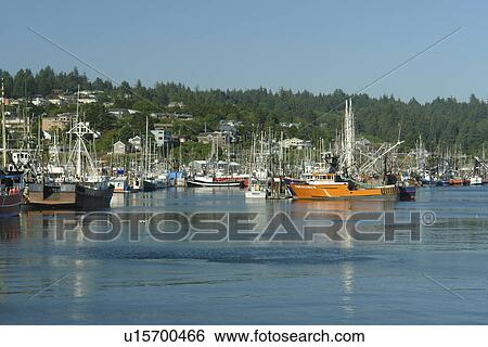 Stock Photograph -  Newport, OR, Oregon, Pacific Ocean, Pacific Coast Scenic Byway, Rt Route, Highway 101, Yaquina Bay, Harbor, Marina, fishing fleet. Fotosearch