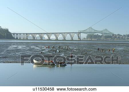 Stock Photo -  North Bend, OR, Oregon, Pacific Ocean, Pacific Coast Scenic Byway, Rt Route, Highway 101, Conde B. McCullough Memorial Bridge, Coos Bay. Fotosearch