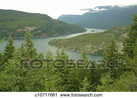 Stock Image -  North Cascades, WA, Washington, Okanogan National Forest, Ross Lake National Recreation Area, National Park Service Complex, Ross Lake, overlook. Fotosearch