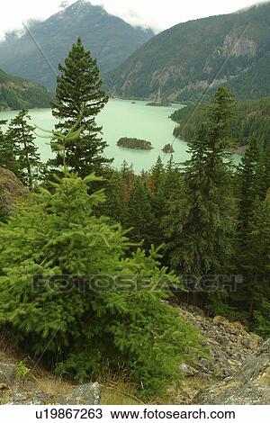North Cascades, WA, Washington, Okanogan National Forest, Ross Lake National Recreation Area, National Park Service Complex, Diablo Lake, overlook View Large Photo Image Stock Image - North Cascades, WA, Washington, Okanogan National Forest, Ross Lake National Recreation Area, National Park Service Complex, Diablo Lake, overlook. Fotosearch