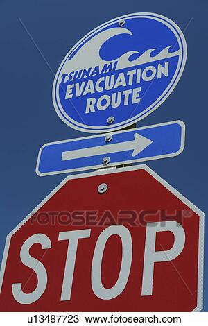 Oceanside, OR, Oregon, Pacific Ocean, Pacific Coast Scenic Byway, Rt Route, Highway 101, Tsunami Evacuation Route road sign, stop sign View Large Photo Image Stock Image - Oceanside, OR, Oregon, Pacific Ocean, Pacific Coast Scenic Byway, Rt Route, Highway 101, Tsunami Evacuation Route road sign, stop sign. Fotosearch
