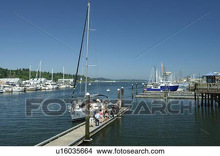 Picture -  Olympia, WA, Washington, Puget Sound, Percival Landing Park, Budd Inlet, City Waterfront, marina. Fotosearch