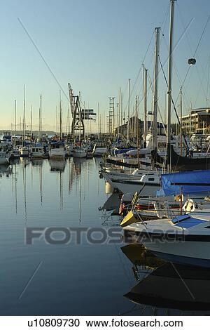 Olympia, WA, Washington, Puget Sound, Percival Landing Park, Budd Inlet, City Waterfront, marina View Large Photo Image Stock Image - Olympia, WA, Washington, Puget Sound, Percival Landing Park, Budd Inlet, City Waterfront, marina. Fotosearch
