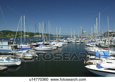 Olympia, WA, Washington, Puget Sound, Percival Landing Park, Budd Inlet, City Waterfront, marina View Large Photo Image Stock Image - Olympia, WA, Washington, Puget Sound, Percival Landing Park, Budd Inlet, City Waterfront, marina. Fotosearch
