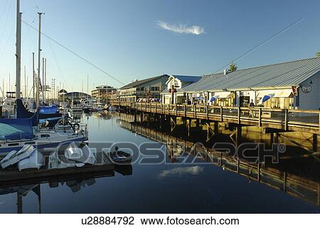 Stock Image -  Olympia, WA, Washington, Puget Sound, Percival Landing Park, Budd Inlet, City Waterfront, marina. Fotosearch