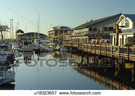 Olympia, WA, Washington, Puget Sound, Percival Landing Park, Budd Inlet, City Waterfront, marina View Large Photo Image Stock Photo - Olympia, WA, Washington, Puget Sound, Percival Landing Park, Budd Inlet, City Waterfront, marina. Fotosearch