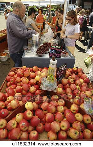 Olympia, WA, Washington, Saturday Farmers Market View Large Photo Image Picture - Olympia, WA, Washington, Saturday Farmers Market. Fotosearch