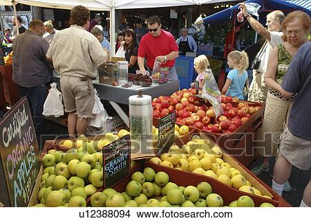 Olympia, WA, Washington, Saturday Farmers Market View Large Photo Image Picture - Olympia, WA, Washington, Saturday Farmers Market. Fotosearch