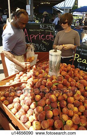 Olympia, WA, Washington, Saturday Farmers Market View Large Photo Image Stock Image - Olympia, WA, Washington, Saturday Farmers Market. Fotosearch
