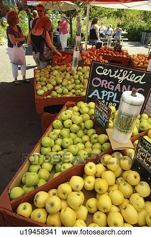 Olympia, WA, Washington, Saturday Farmers Market View Large Photo Image Stock Image - Olympia, WA, Washington, Saturday Farmers Market. Fotosearch