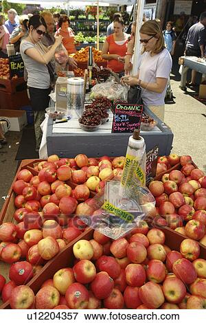 Stock Photo -  Olympia, WA, Washington, Saturday Farmers Market. Fotosearch