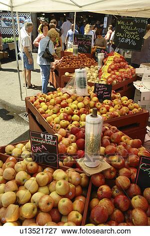 Stock Photo -  Olympia, WA, Washington, Saturday Farmers Market. Fotosearch